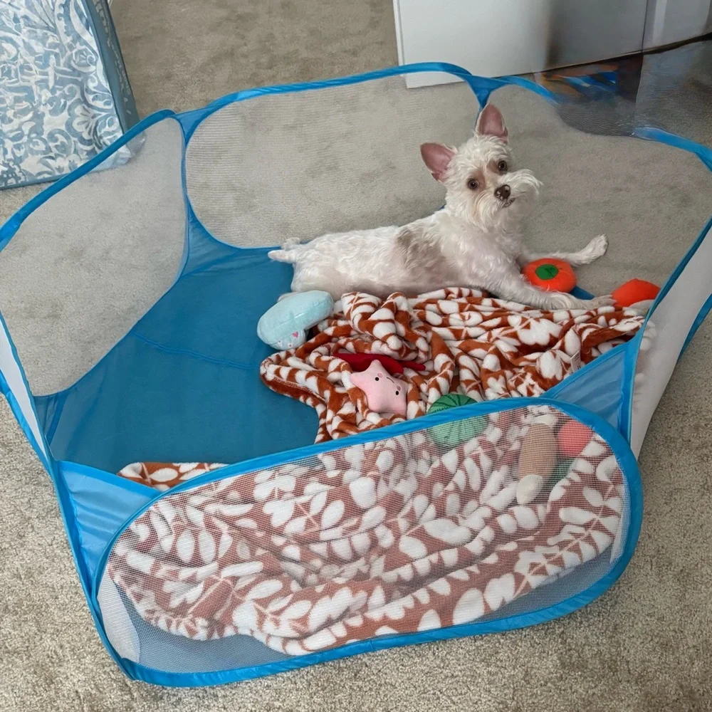 Foldable Pop-Up Playpen